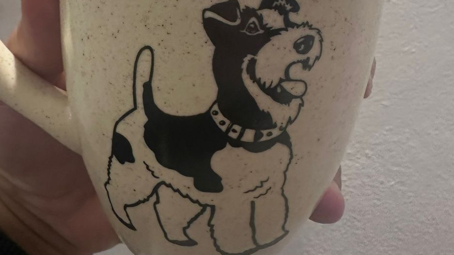 Perrito/ Gatitos