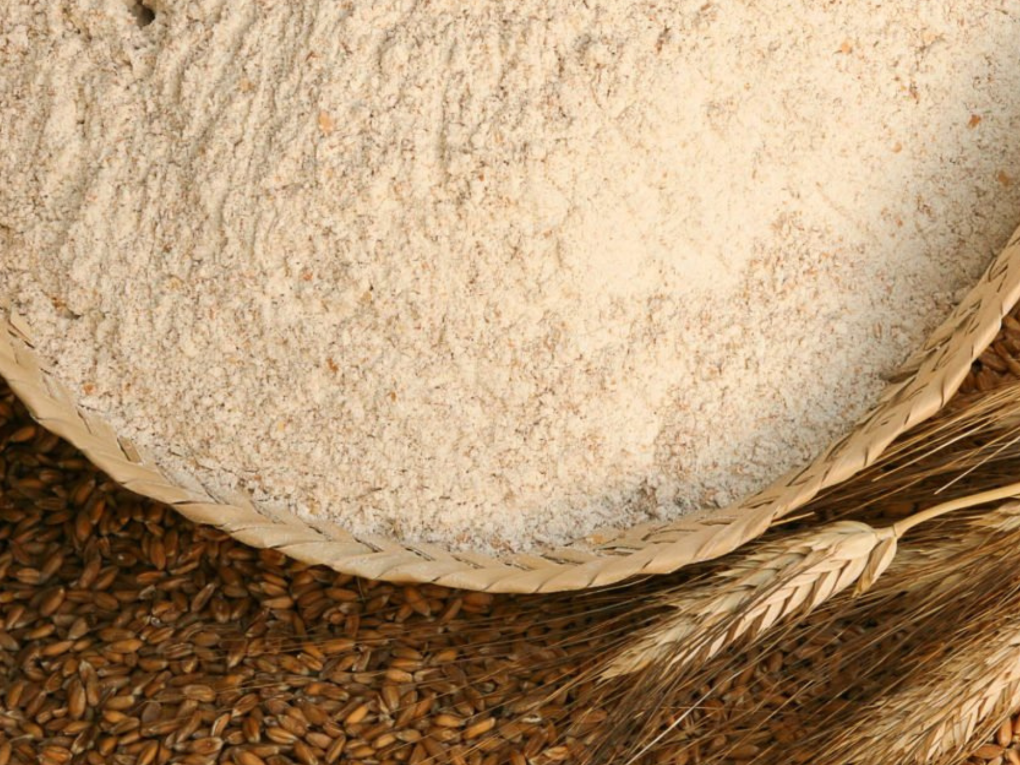 Harina Integral de Trigo - Pan