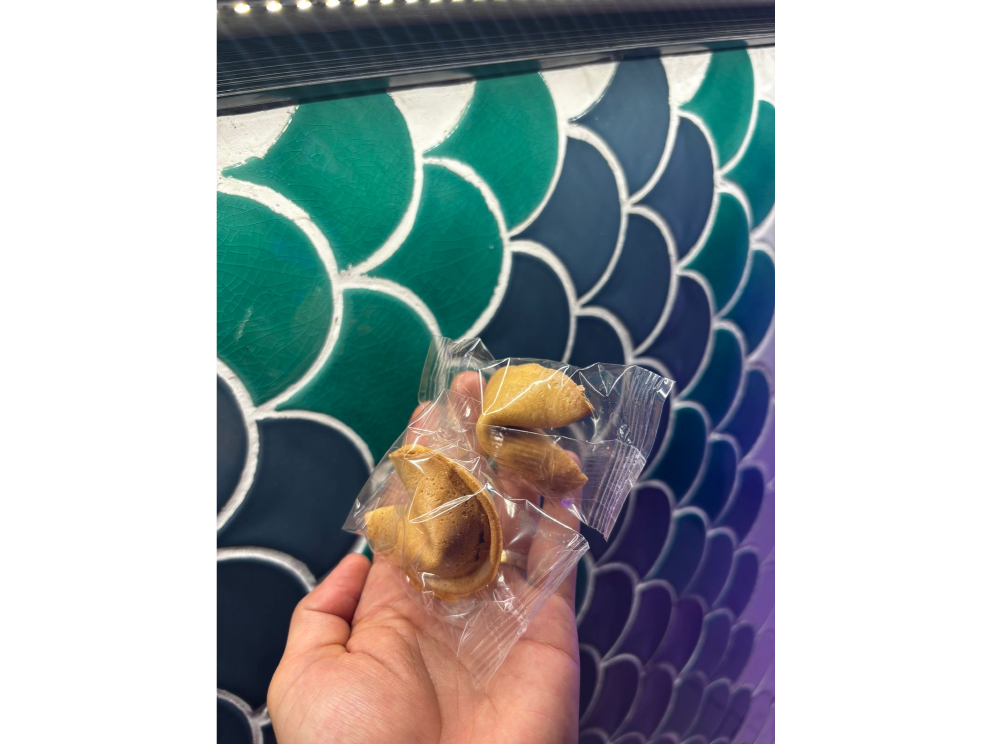 Galleta de la fortuna