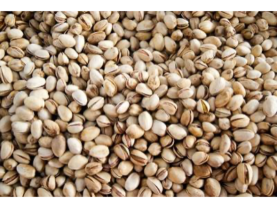 Pistachos