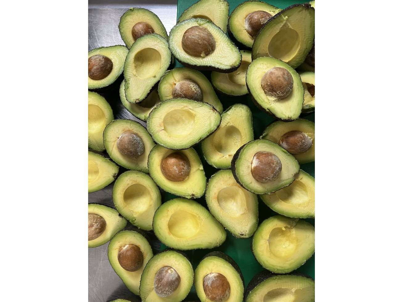 Palta agroecologica x 3 unidades