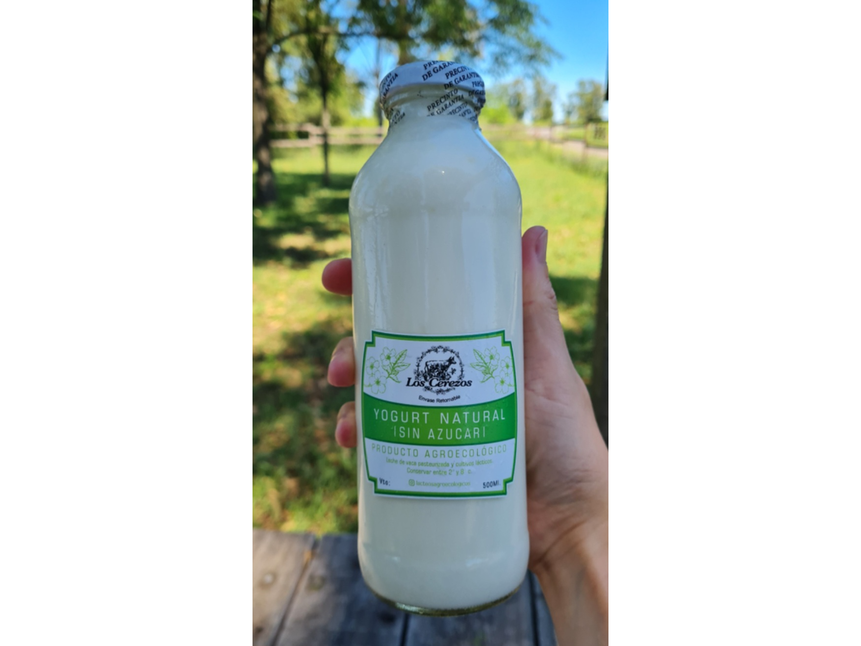 Yogures agroecologicos envase retornable x 500ml - Los Cerezos