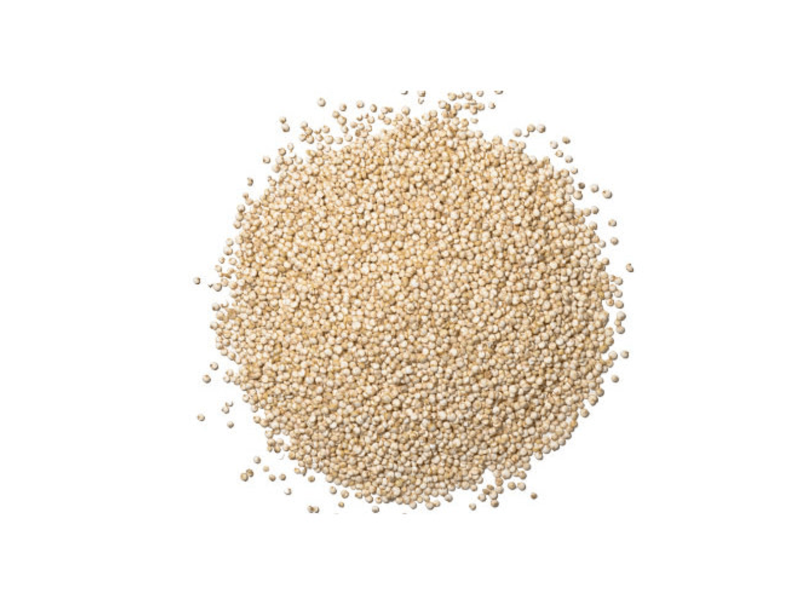 Semillas de Quinoa Blanca