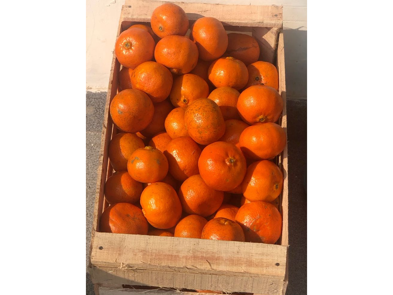 Mandarina criolla agroecologica x kg