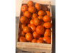 Mandarina criolla agroecologica x kg