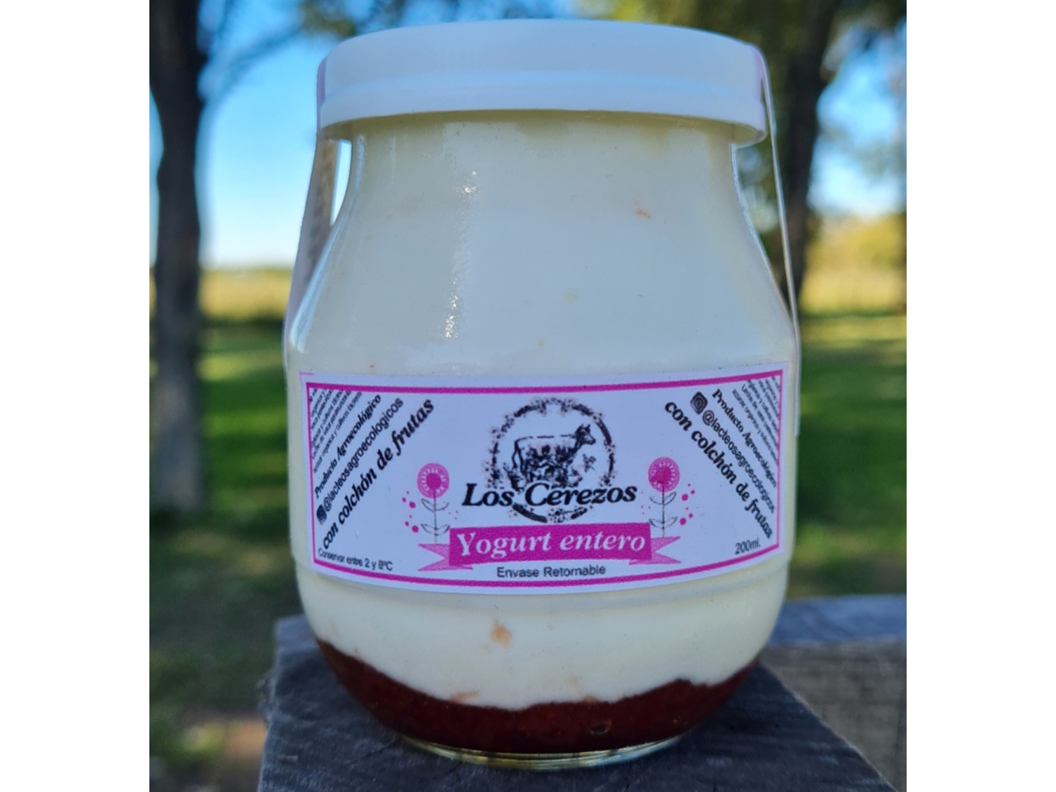 Yogurt agroecologico con colchon de frutas x 200gr