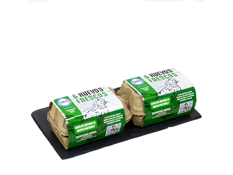 Docena de Huevos Coeco