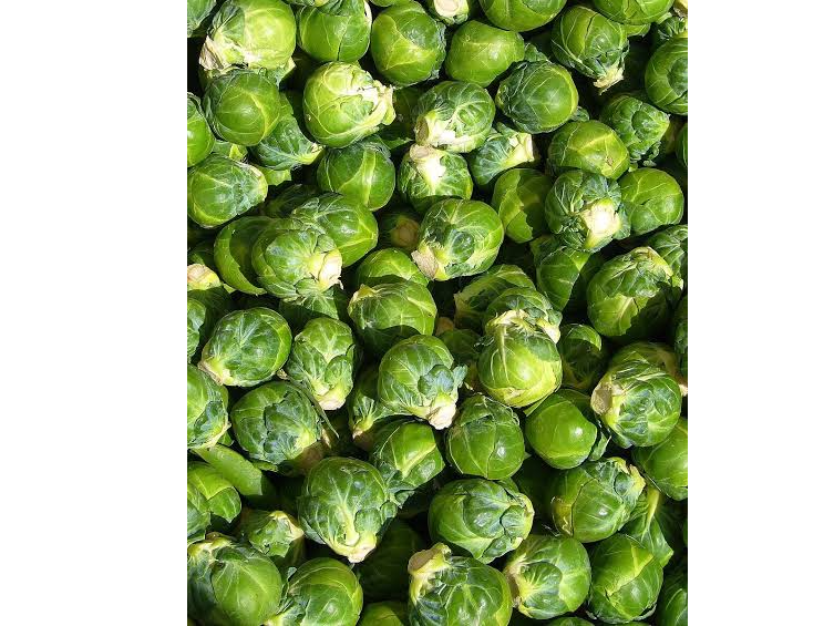 Repollitos de Bruselas agroecologicos x kg