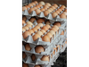 Maple huevos pastoriles colorados