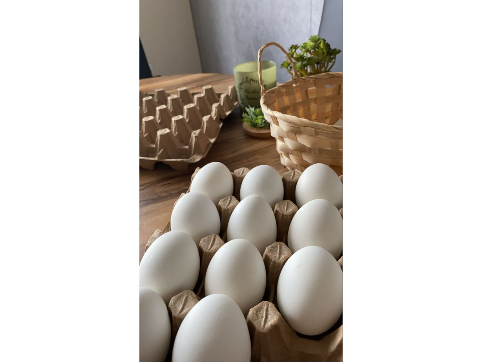 Combo Desayuno Campo Natural (con huevos pastoriles) (6 productos)