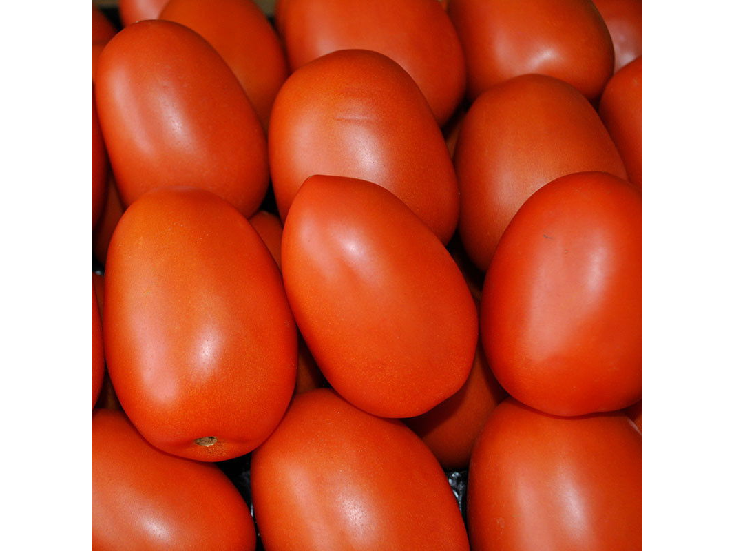 Tomate perita agroecologico x kg