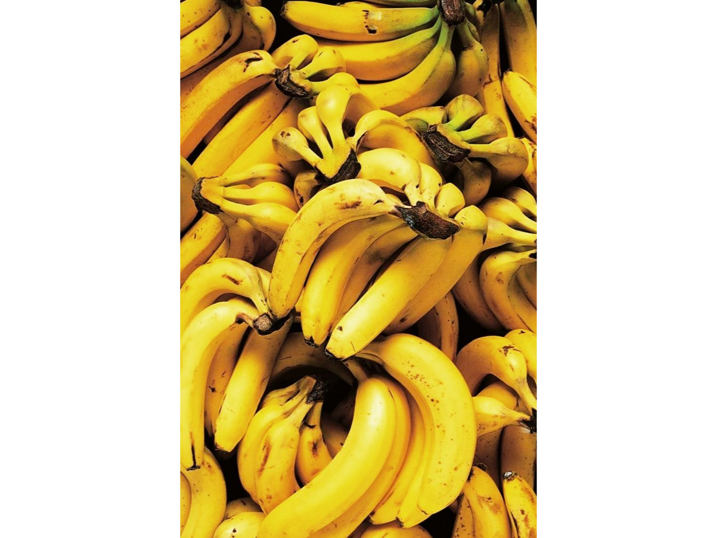 Banana agroecologica