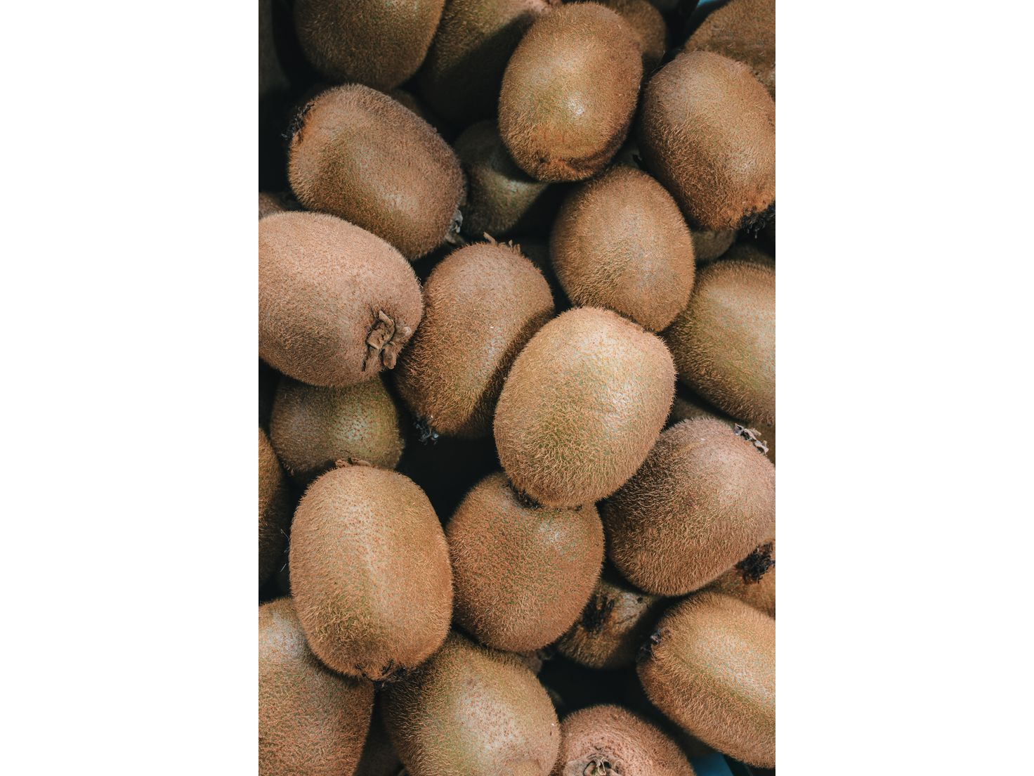 Kiwi agroecologico