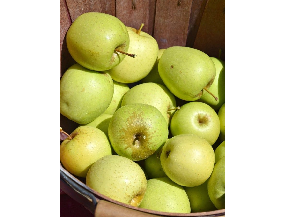 Manzana verde agroecologica x kg
