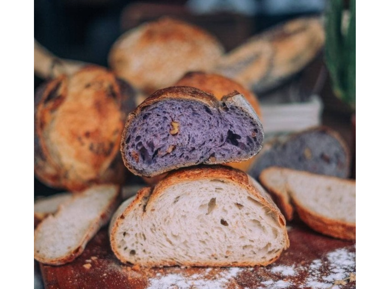 Pan de campo organico de masa madre x 500gr de El Dobito Market