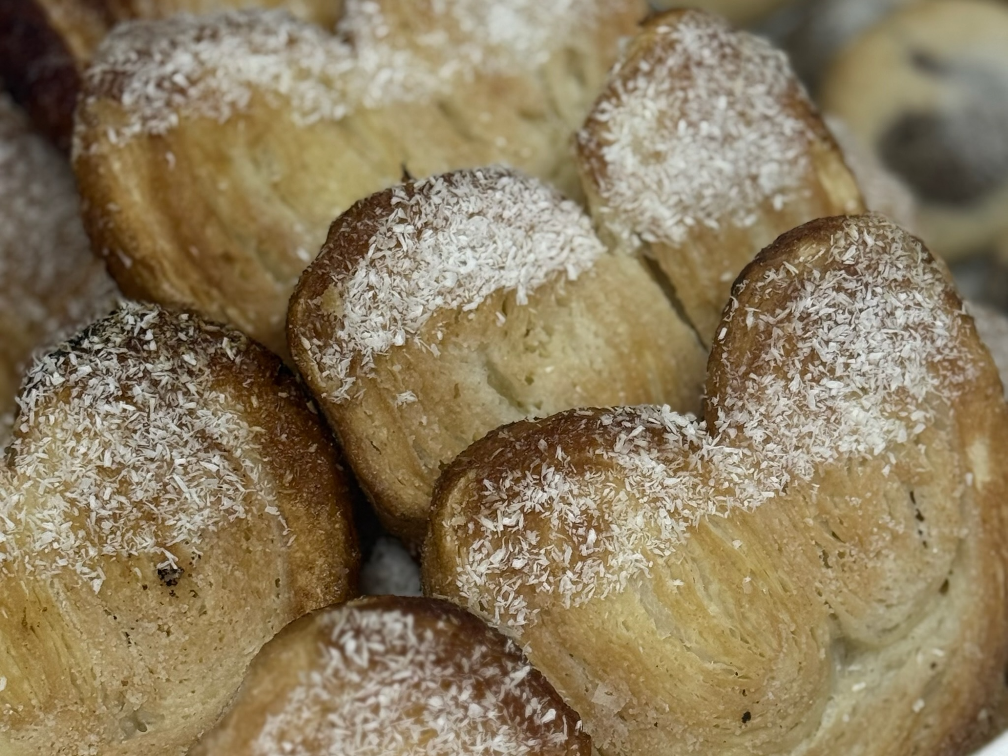 PALMERAS GRANDES xUN