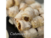 CAÑONCITOS DE DULCE DE LECHE X 100G