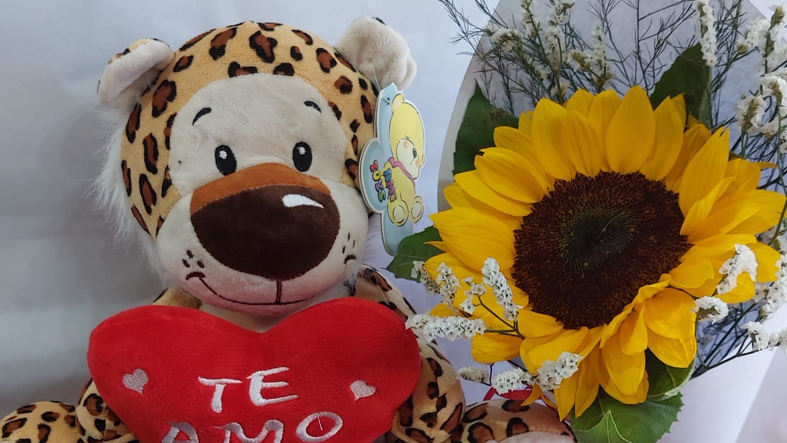 Combo peluches mas Flores