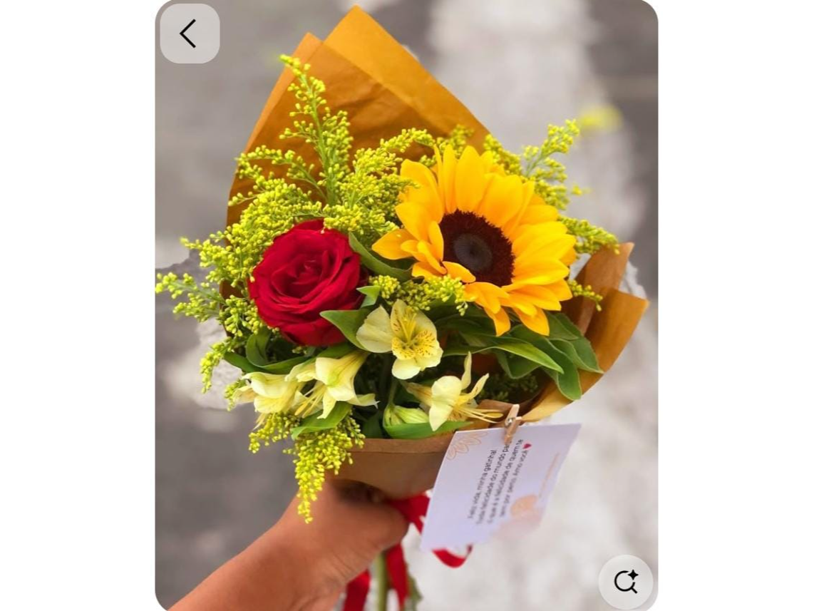 Rosa Linda 1