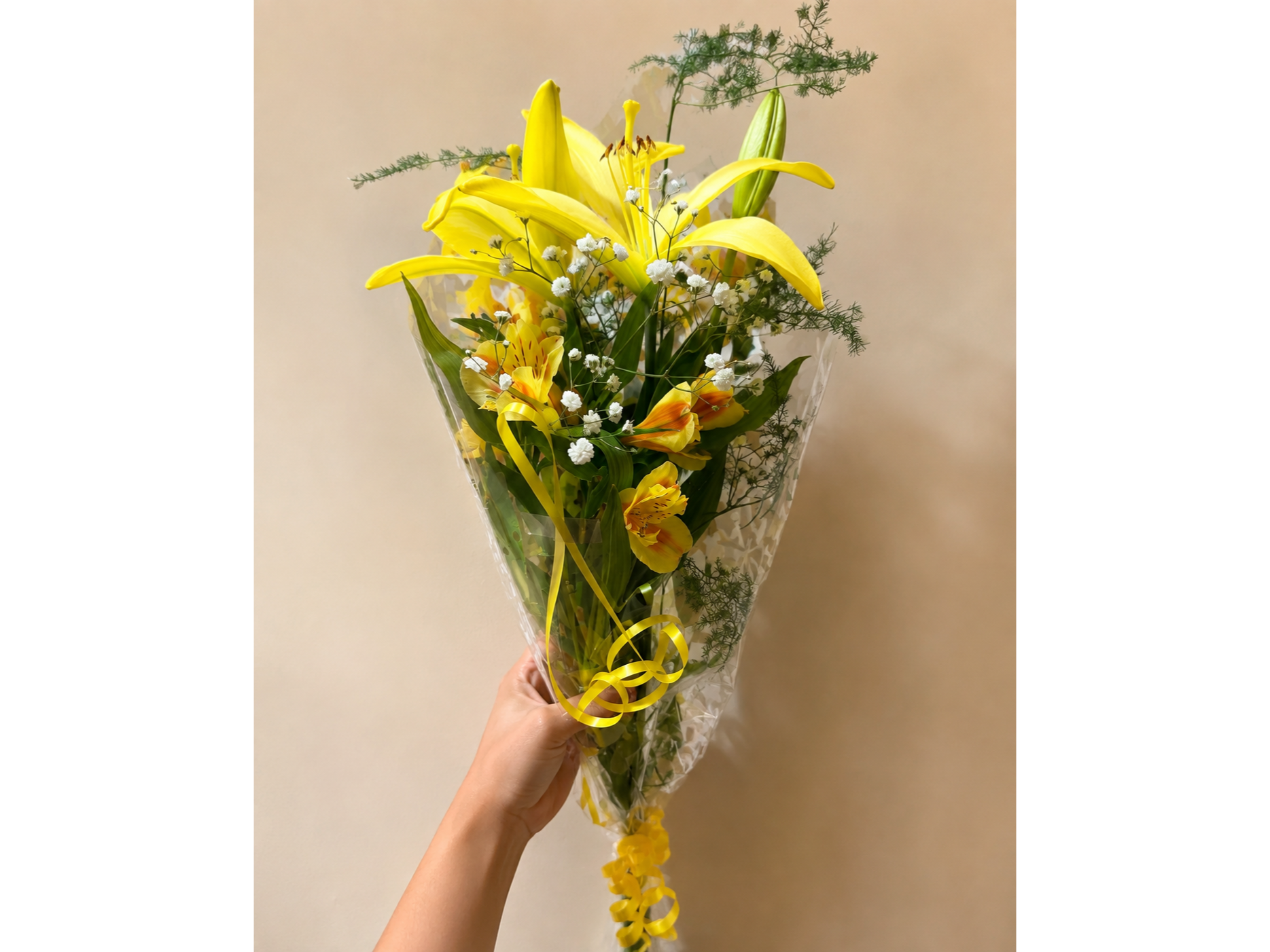 Lilium con Astromelia