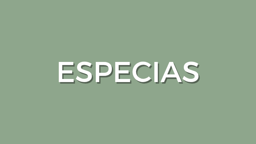 Especias