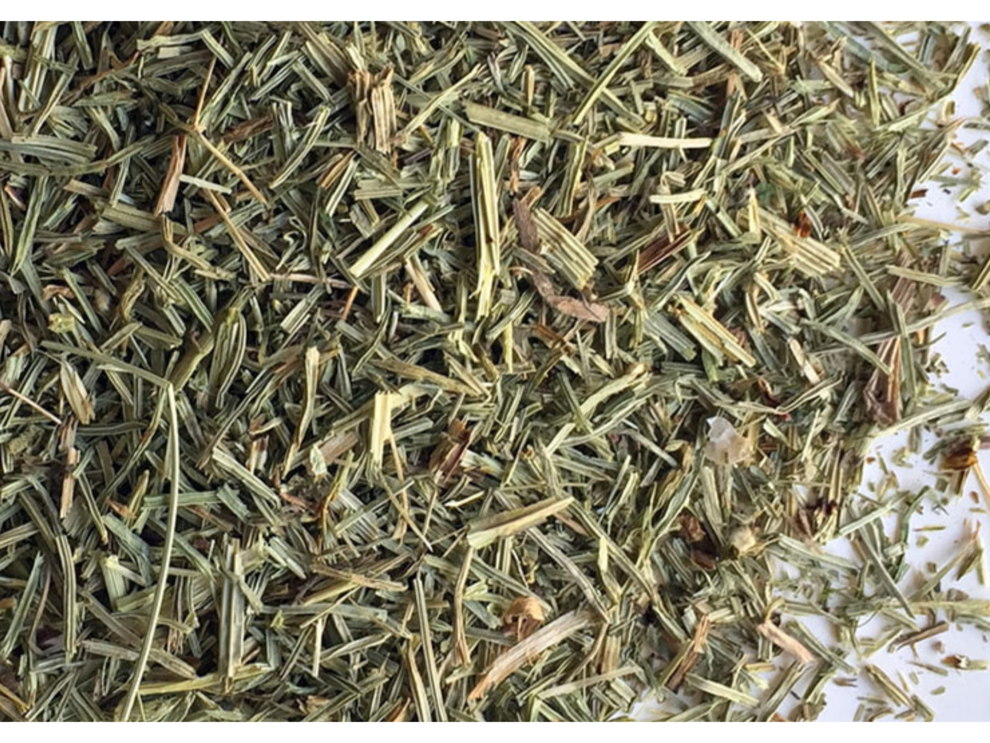 Cola de caballo