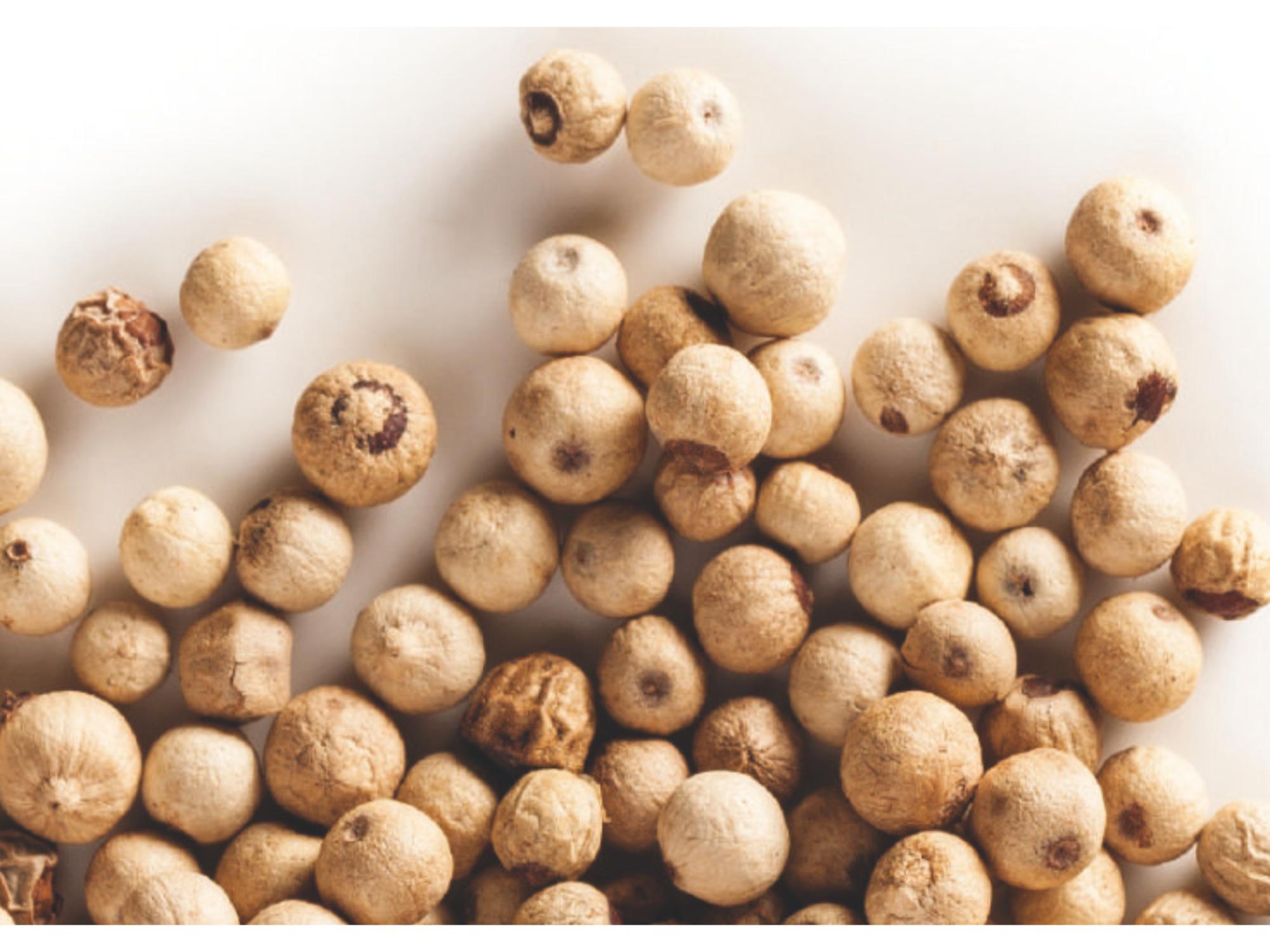 Pimienta blanca (grano)