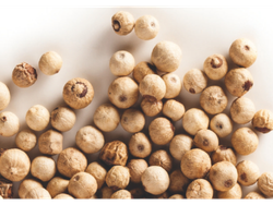 Pimienta blanca (grano)