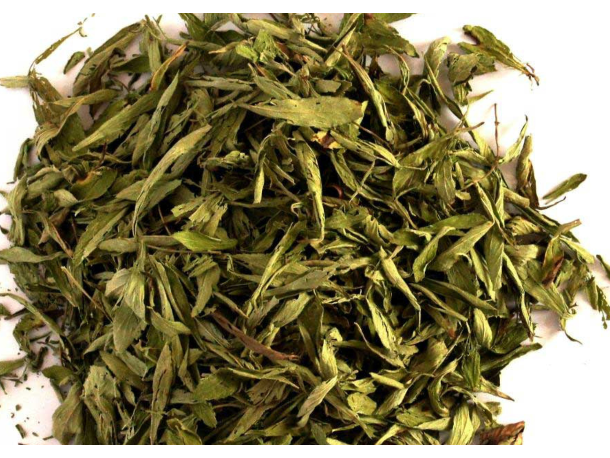Stevia en hojas