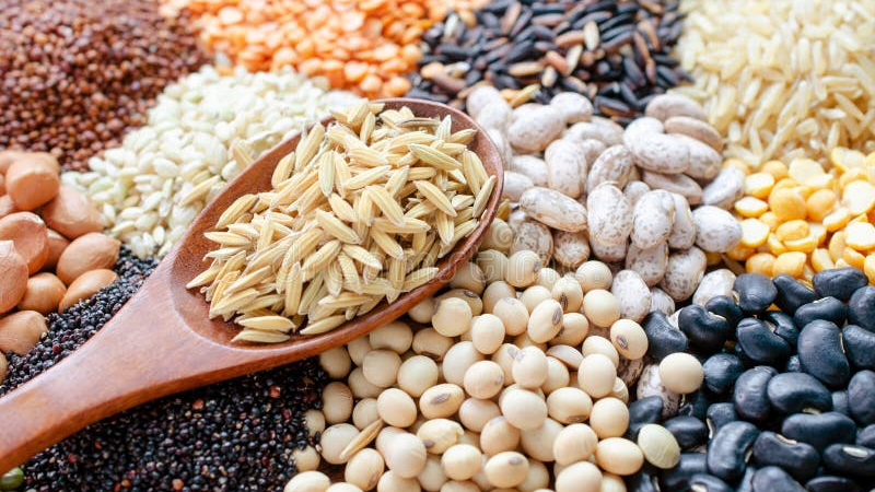 LEGUMBRES Y ARROCES