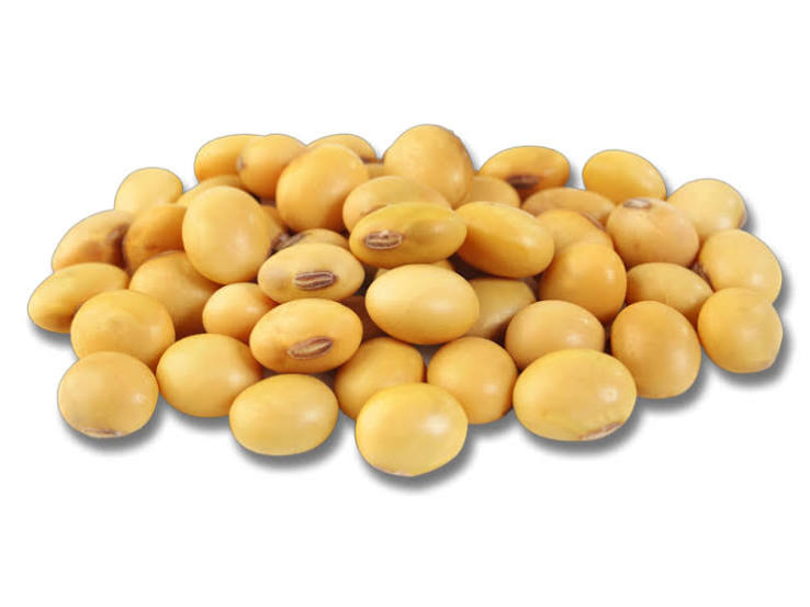 Porotos de soja