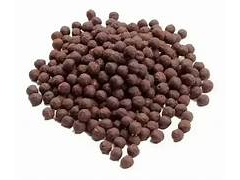 Quinoa Pop Algarroba