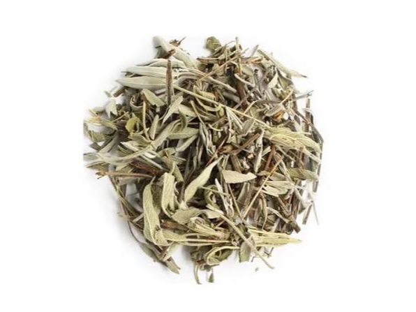 Salvia
