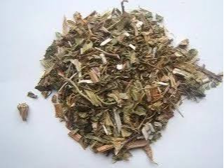 Diente de león