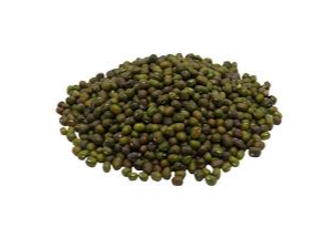 Porotos mung