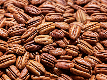 NUECES PECAN
