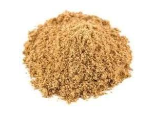 Coriandro