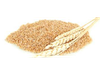 Germen de trigo