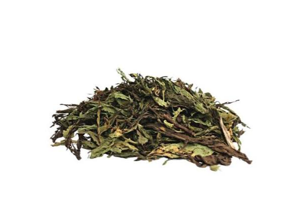 Stevia en hojas