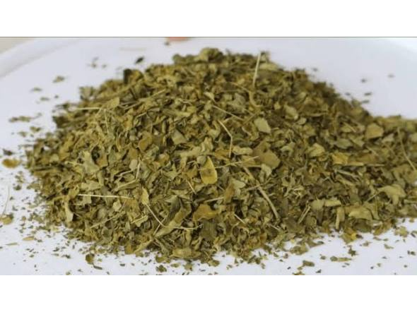 Moringa