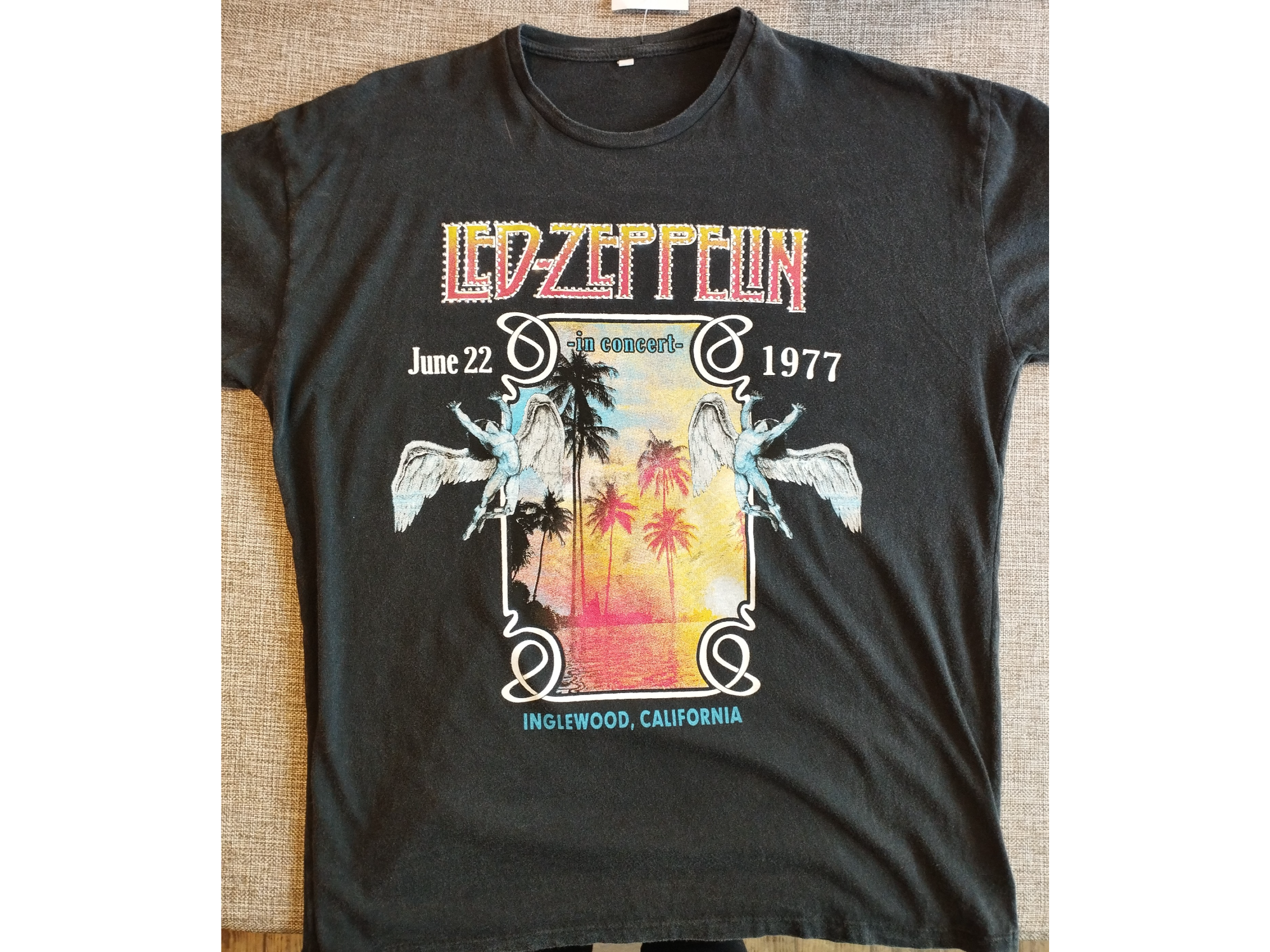 Remera nevada zeppelin