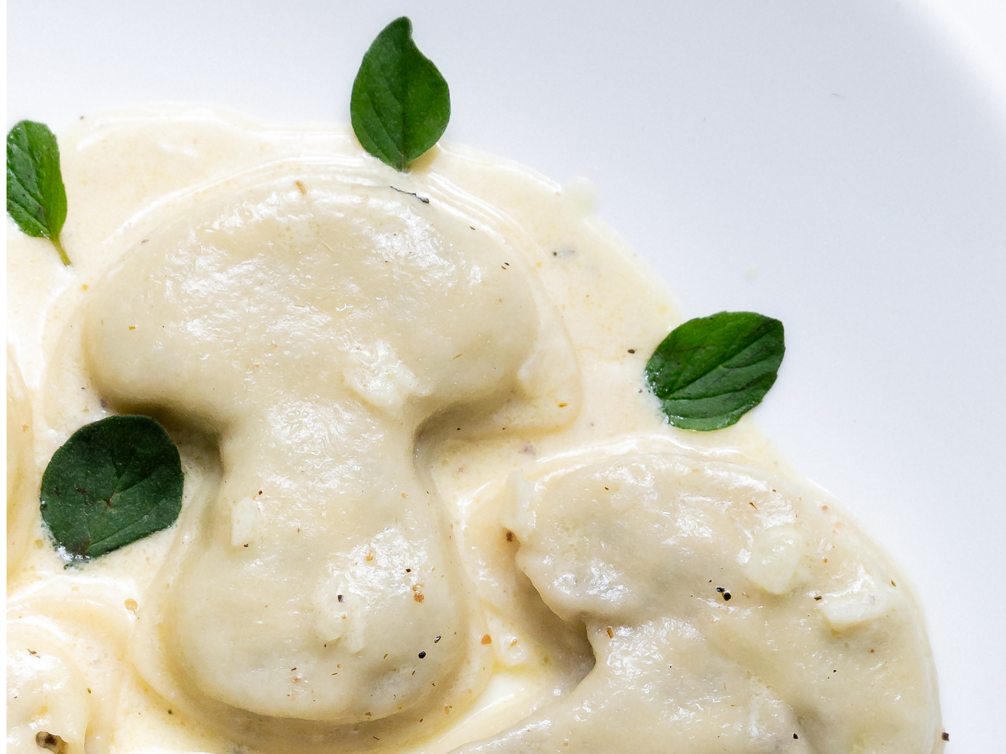 Ravioli Fungi