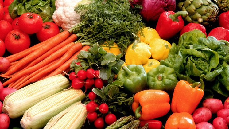 VEGETARIANO