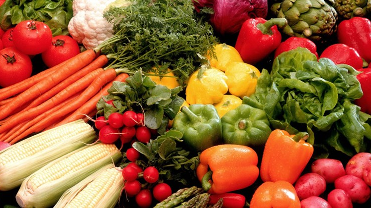 VIANDAS VEGGIE