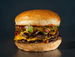 Spring burger (picantee) (NUEVA)