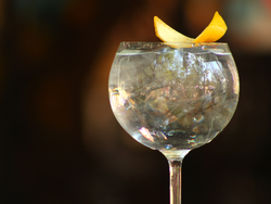 Gin and Tonic