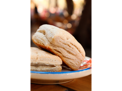 Criollo