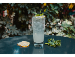 Tom Collins