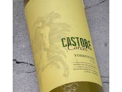 Castore Torrontes
