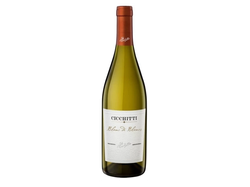 Cicchitti Blanc de blancs